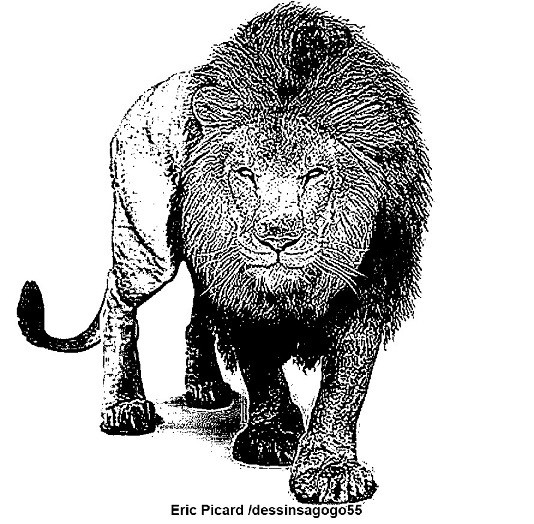 Lion : Performances physiques