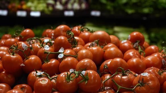 Un nouveau virus menace les tomates