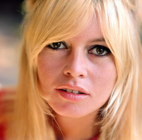 Brigitte Bardot : J'ai donné