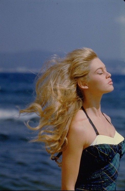 Brigitte Bardot : Bibliographie et autres