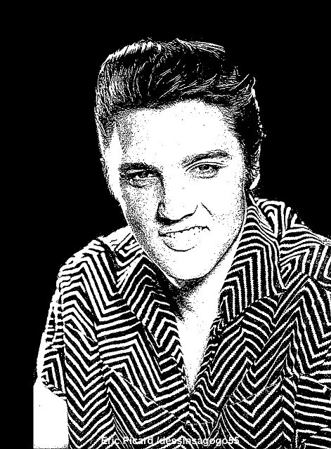 Elvis Presley : Graceland