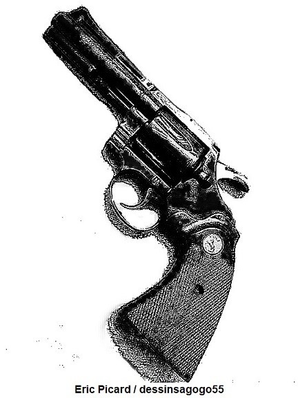 Arme à feu : Histoire