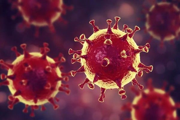 Coronavirus : 70 hôpitaux supplémentaires vont être activés 