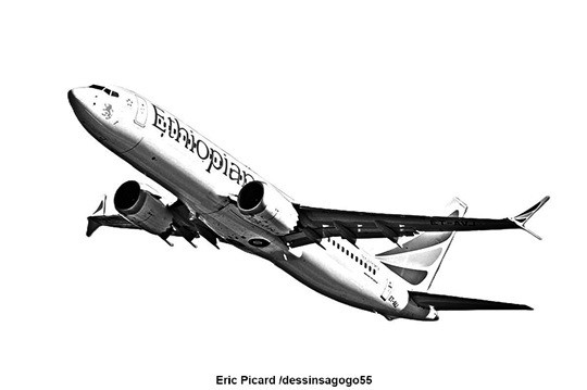 Vol Ethiopian Airlines 302