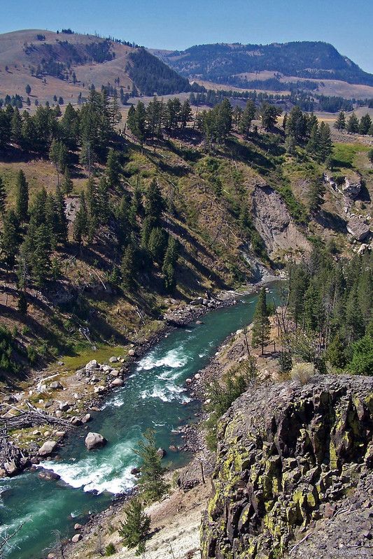 La rivière Yellowstone