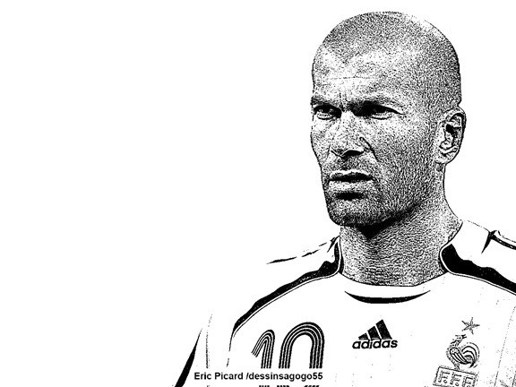 Zinédine Zidane : La consécration