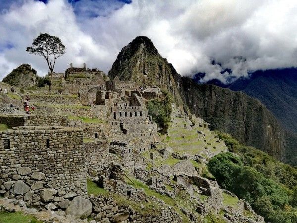 Machu Pichu : Pérou