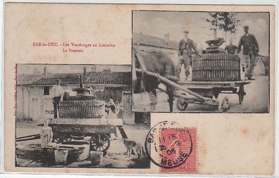 Carte postale de Bar-le-Duc Les vendanges en Lorraine 