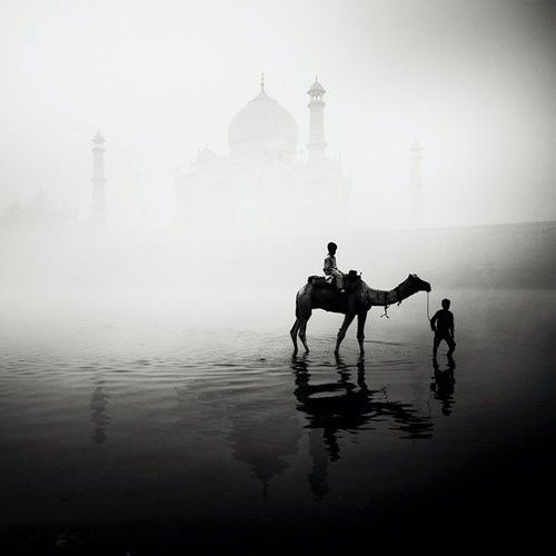 Josef Hoflehner : Taj Mahal de l'Inde