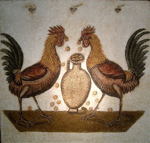 Symbolisme du coq