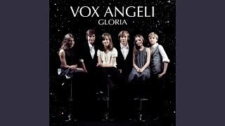Vox Angeli : Amazing grace