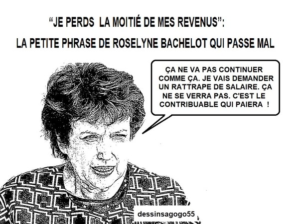 Roselyne Bachelot : “Je perds la moitié de mes revenus”