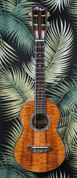 Guitare : Principaux luthiers de guitare classique﻿