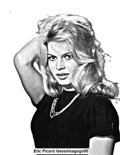 Brigitte Bardot : Prises de position