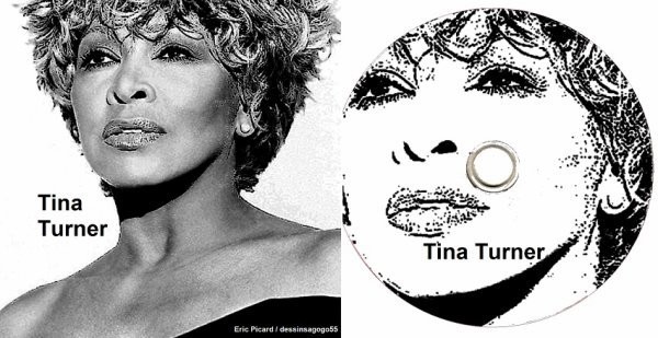 Tina Turner : The best
