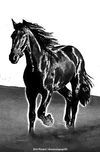 Cheval : dessinsagogo55