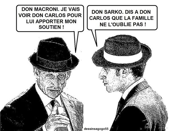 Sarkozy a rendu visite à Ghosn, avec l'aval de Macron