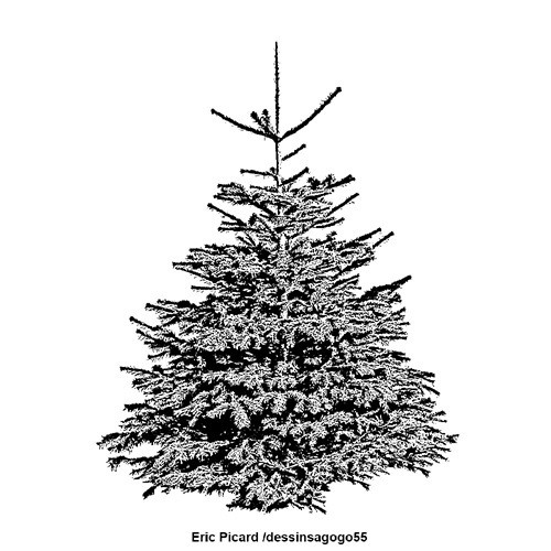 Sapin de Noël : L'arbre de Noël
