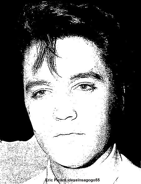 Elvis Presley : La rencontre