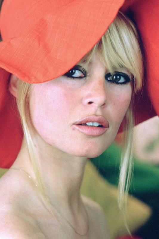 Brigitte Bardot : Trois personnages