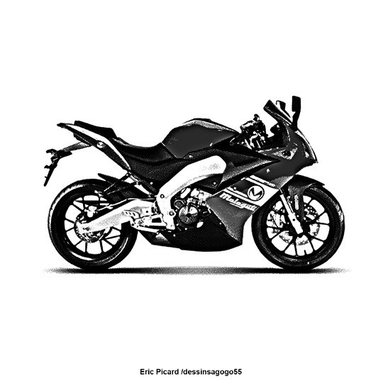 Malaguti : RST 125 Sport - Naturet