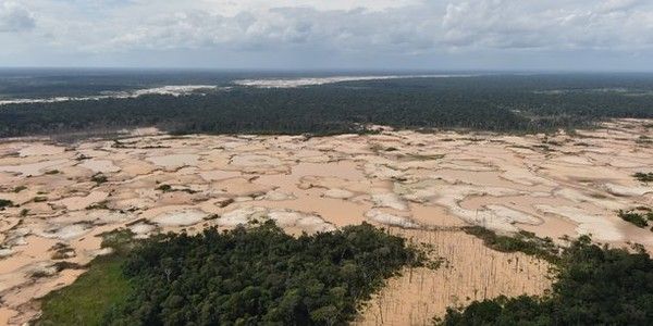 La déforestation s’emballe en Amazonie